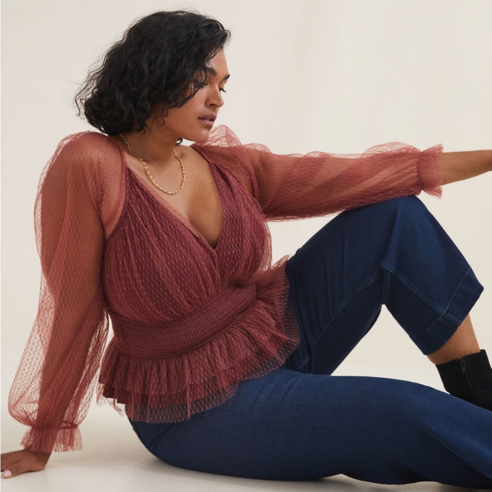 Anthropologie Tulle V neck top 2X